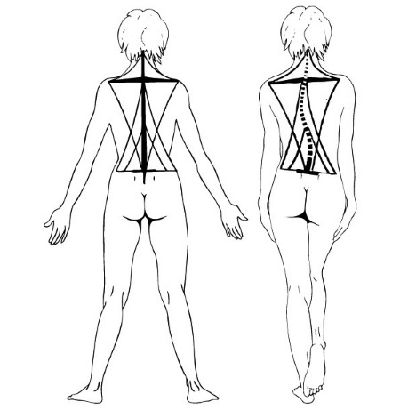 Иллюстрация к книге — 1000 ответов на вопросы, как вернуть здоровье [i_100.jpg]