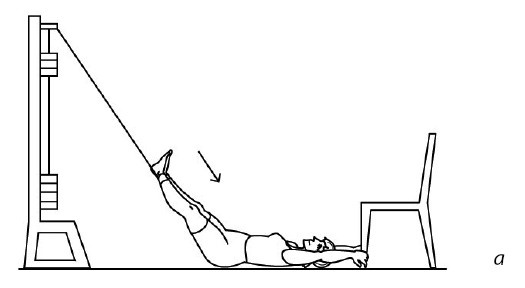 Иллюстрация к книге — 1000 ответов на вопросы, как вернуть здоровье [i_101.jpg]