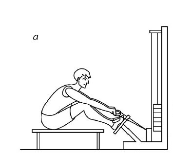 Иллюстрация к книге — 1000 ответов на вопросы, как вернуть здоровье [i_103.jpg]