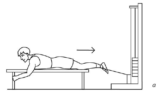 Иллюстрация к книге — 1000 ответов на вопросы, как вернуть здоровье [i_106.jpg]