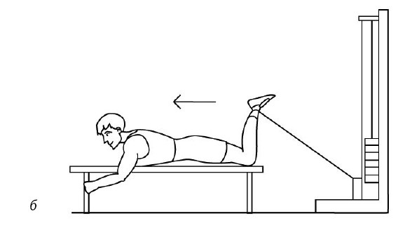 Иллюстрация к книге — 1000 ответов на вопросы, как вернуть здоровье [i_107.jpg]