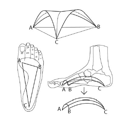 Иллюстрация к книге — 1000 ответов на вопросы, как вернуть здоровье [i_108.jpg]