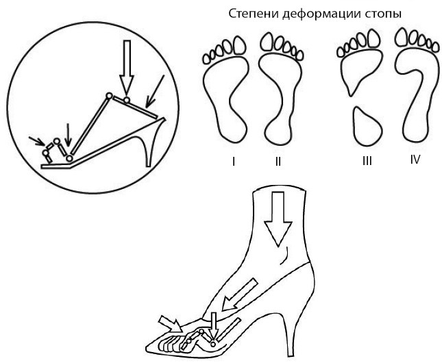 Иллюстрация к книге — 1000 ответов на вопросы, как вернуть здоровье [i_111.jpg]
