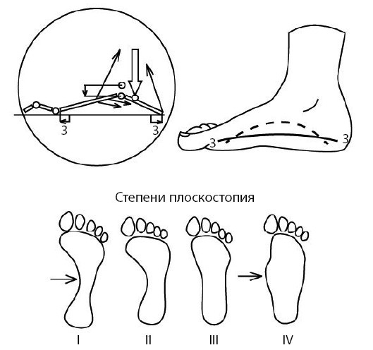 Иллюстрация к книге — 1000 ответов на вопросы, как вернуть здоровье [i_113.jpg]