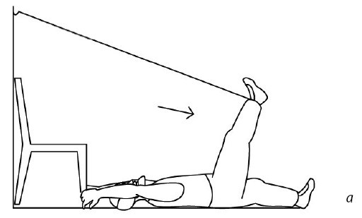 Иллюстрация к книге — 1000 ответов на вопросы, как вернуть здоровье [i_119.jpg]