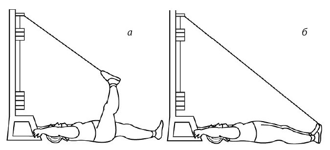 Иллюстрация к книге — 1000 ответов на вопросы, как вернуть здоровье [i_123.jpg]