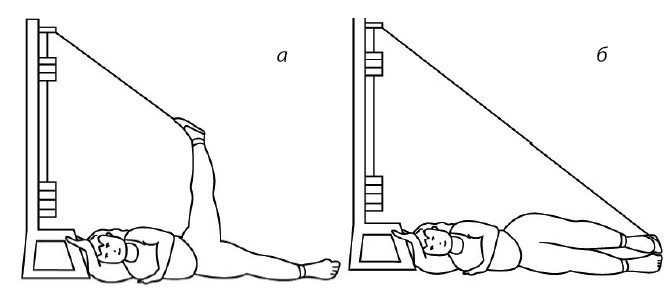 Иллюстрация к книге — 1000 ответов на вопросы, как вернуть здоровье [i_124.jpg]