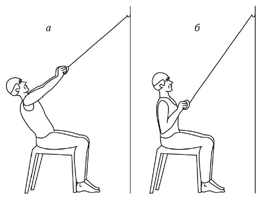 Иллюстрация к книге — 1000 ответов на вопросы, как вернуть здоровье [i_127.jpg]