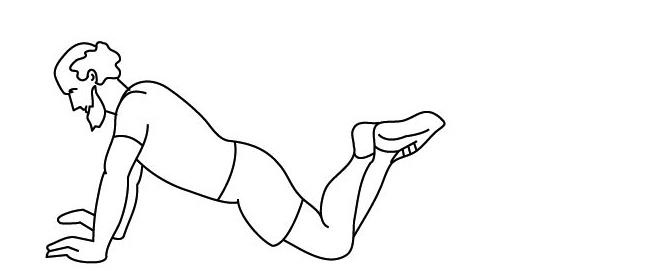 Иллюстрация к книге — 1000 ответов на вопросы, как вернуть здоровье [i_130.jpg]