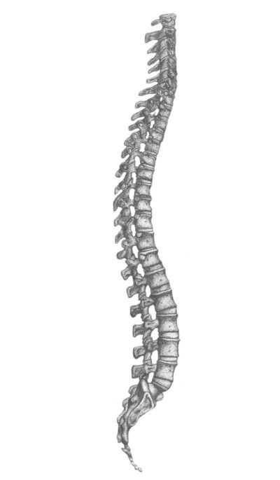 Иллюстрация к книге — Жизнь после травмы, или Код здоровья [i_007.jpg]