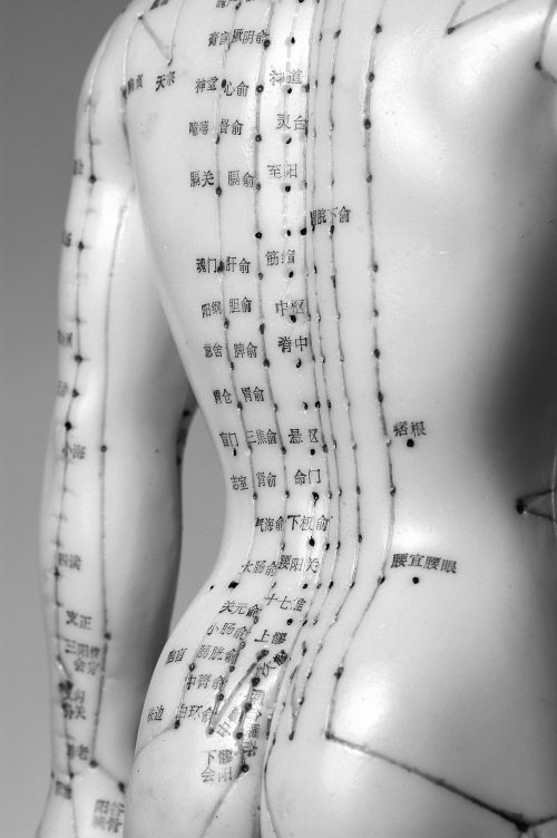 Иллюстрация к книге — Жизнь после травмы, или Код здоровья [i_034.jpg]