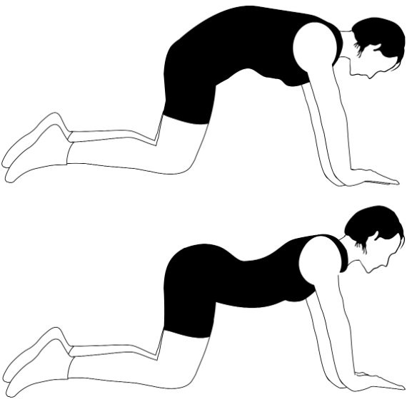 Иллюстрация к книге — Жизнь после травмы, или Код здоровья [i_040.jpg]