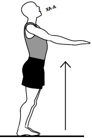 Иллюстрация к книге — Здоровые сосуды, или Зачем человеку мышцы? [Autogen_eBook_id15.jpg]