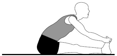 Иллюстрация к книге — Здоровые сосуды, или Зачем человеку мышцы? [Autogen_eBook_id22.jpg]