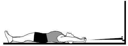 Иллюстрация к книге — Здоровые сосуды, или Зачем человеку мышцы? [Autogen_eBook_id40.jpg]