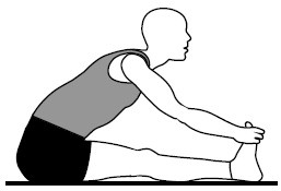 Иллюстрация к книге — Здоровые сосуды, или Зачем человеку мышцы? [Autogen_eBook_id41.jpg]