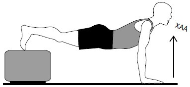 Иллюстрация к книге — Здоровые сосуды, или Зачем человеку мышцы? [Autogen_eBook_id56.jpg]