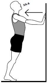 Иллюстрация к книге — Здоровые сосуды, или Зачем человеку мышцы? [Autogen_eBook_id7.jpg]