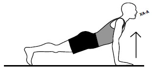 Иллюстрация к книге — Здоровые сосуды, или Зачем человеку мышцы? [Autogen_eBook_id9.jpg]