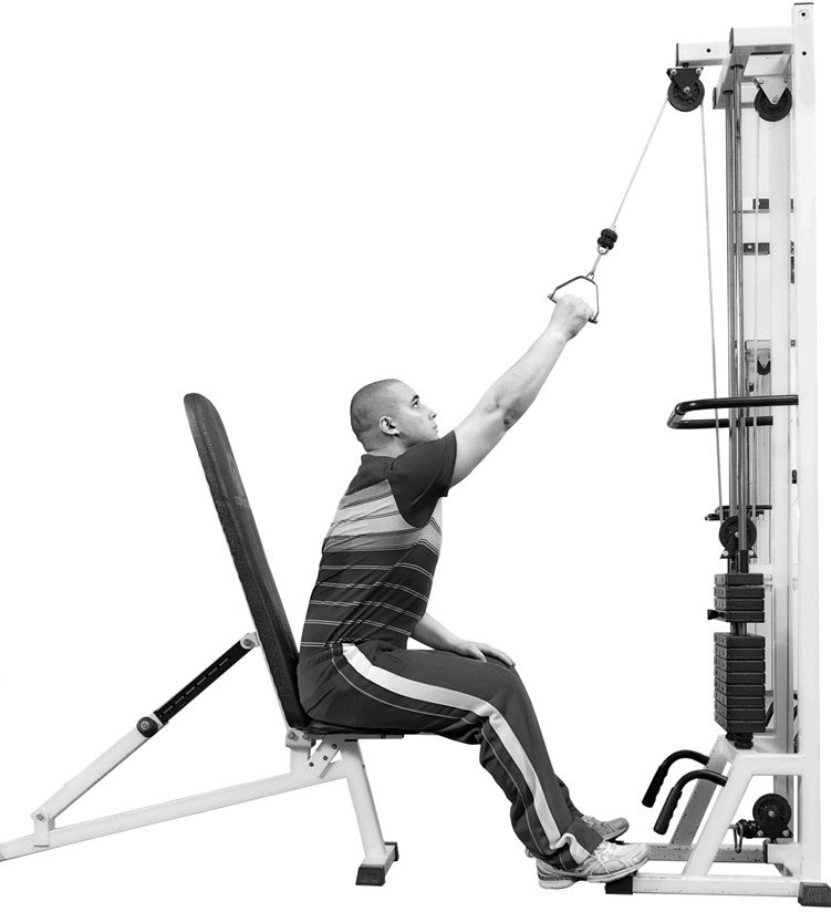 Иллюстрация к книге — Код здоровья сердца и сосудов [Autogen_eBook_id74.jpg]