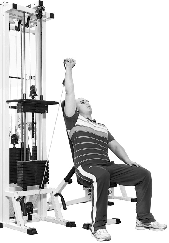 Иллюстрация к книге — Код здоровья сердца и сосудов [Autogen_eBook_id77.jpg]