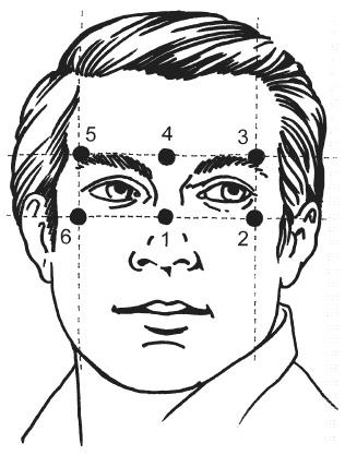 Иллюстрация к книге — Цветопунктура. 40 эффективных схем лечения [img102D.jpg]