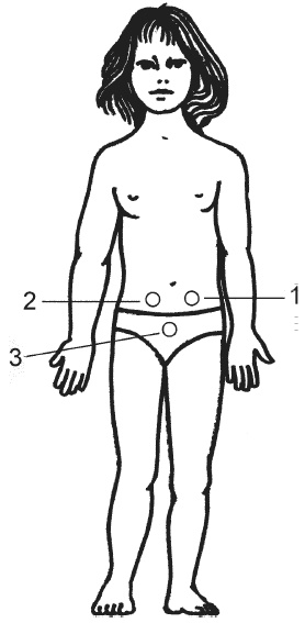 Иллюстрация к книге — Цветопунктура. 40 эффективных схем лечения [img187E.jpg]