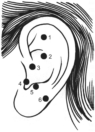 Иллюстрация к книге — Цветопунктура. 40 эффективных схем лечения [img2E0F.jpg]