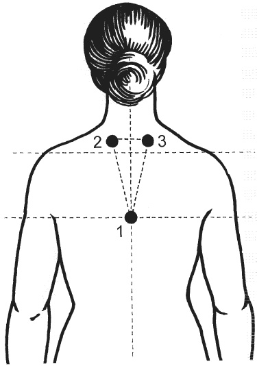 Иллюстрация к книге — Цветопунктура. 40 эффективных схем лечения [img6553.jpg]
