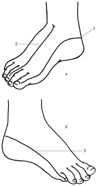 Иллюстрация к книге — Цветопунктура. 40 эффективных схем лечения [img8372.jpg]