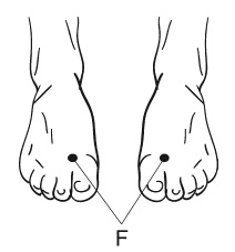 Иллюстрация к книге — Глаукома и катаракта. Лечение и профилактика [i_007.jpg]