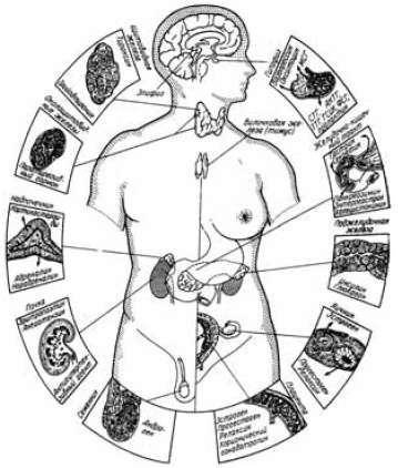 Иллюстрация к книге — Заболевания щитовидной железы. Лечение и профилактика [i_001.jpg]