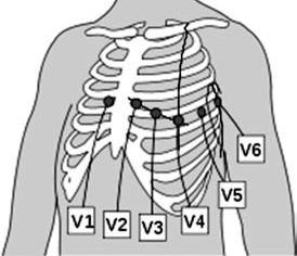 Иллюстрация к книге — Карманный справочник медицинских анализов [Autogen_eBook_id13.jpg]