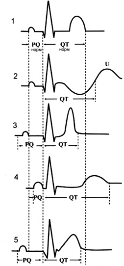 Иллюстрация к книге — Карманный справочник медицинских анализов [Autogen_eBook_id26.jpg]