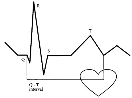 Иллюстрация к книге — Здоровое сердце и сосуды [i_006.jpg]