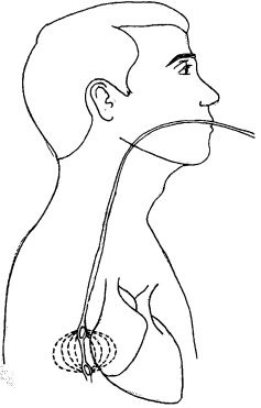 Иллюстрация к книге — Здоровое сердце и сосуды [i_008.jpg]