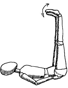 Иллюстрация к книге — Здоровое сердце и сосуды [i_017.jpg]