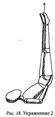 Иллюстрация к книге — Здоровое сердце и сосуды [i_018.jpg]