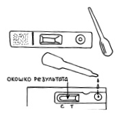 Иллюстрация к книге — Буду мамой! Все о беременности и первом годе жизни малыша. 1000 ответов на 1000 главных вопросов [i_004.jpg]