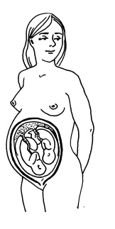 Иллюстрация к книге — Буду мамой! Все о беременности и первом годе жизни малыша. 1000 ответов на 1000 главных вопросов [i_021.jpg]