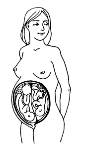 Иллюстрация к книге — Буду мамой! Все о беременности и первом годе жизни малыша. 1000 ответов на 1000 главных вопросов [i_022.jpg]