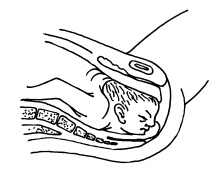 Иллюстрация к книге — Буду мамой! Все о беременности и первом годе жизни малыша. 1000 ответов на 1000 главных вопросов [i_030.jpg]