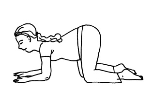 Иллюстрация к книге — Буду мамой! Все о беременности и первом годе жизни малыша. 1000 ответов на 1000 главных вопросов [i_037.jpg]