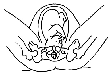 Иллюстрация к книге — Буду мамой! Все о беременности и первом годе жизни малыша. 1000 ответов на 1000 главных вопросов [i_042.jpg]