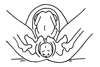 Иллюстрация к книге — Буду мамой! Все о беременности и первом годе жизни малыша. 1000 ответов на 1000 главных вопросов [i_044.jpg]