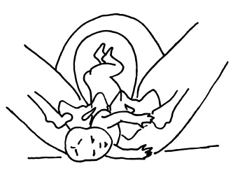 Иллюстрация к книге — Буду мамой! Все о беременности и первом годе жизни малыша. 1000 ответов на 1000 главных вопросов [i_045.jpg]