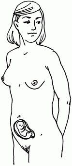 Иллюстрация к книге — 1001 вопрос будущей мамы. Большая книга ответов на все вопросы [i_007.jpg]