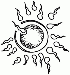 Иллюстрация к книге — 1001 вопрос будущей мамы. Большая книга ответов на все вопросы [i_018.jpg]