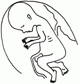 Иллюстрация к книге — 1001 вопрос будущей мамы. Большая книга ответов на все вопросы [i_022.jpg]