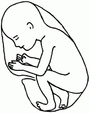 Иллюстрация к книге — 1001 вопрос будущей мамы. Большая книга ответов на все вопросы [i_024.jpg]